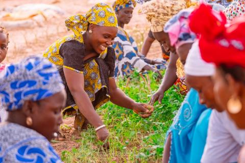 Vrouwen in Senegal aan het werk op het veld