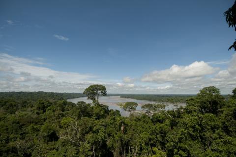 Yasuni National Park Ecuador