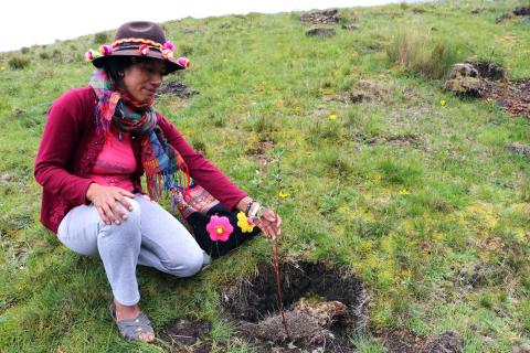 Vrouw uit Peru tijdens een actie voor herstel van vegetatie