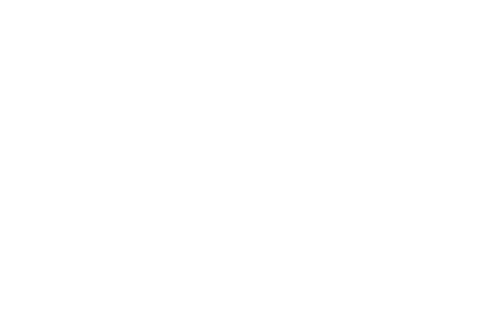 handshake wit