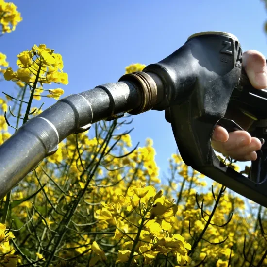 biobrandstof diesel benzine bloemen