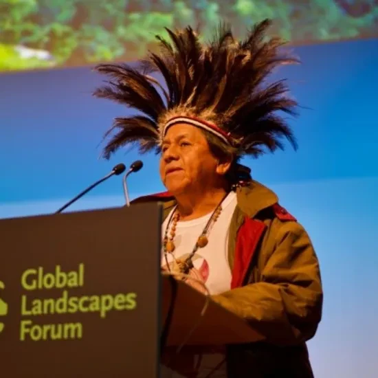 Fermin Chimantani