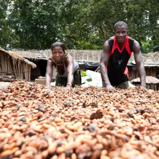 'Bite to Fight'-repen helpen cacaoboeren aan een leefbaar inkomen
