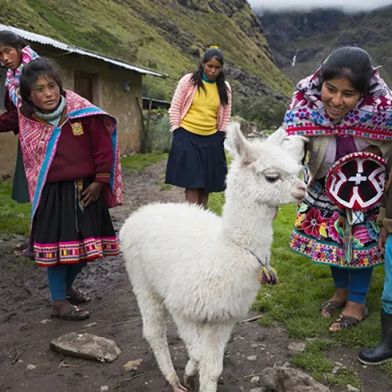 Peru is een van de landen met de grootste biodiversiteit ter wereld, maar ook een land dat kwetsbaar is voor de klimaatverandering.
