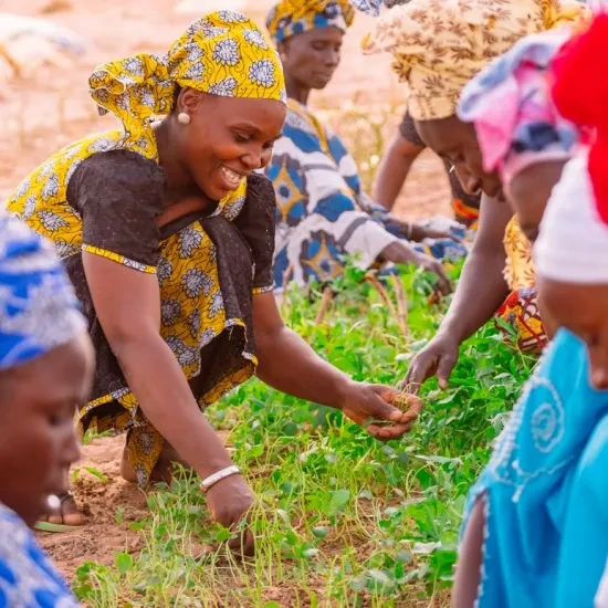 Vrouwen in Senegal aan het werk op het veld