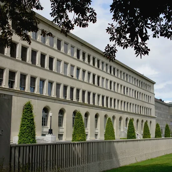 © WTO