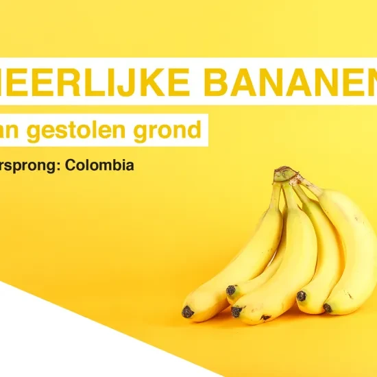 Heerlijke bananen van gestolen grond