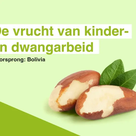 De vrucht van kinder- en dwangarbeid