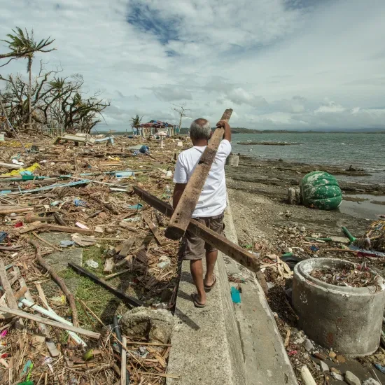 Man verzamelt hout voor de heropbouw na de passage van tyfoon Haiyan in de Filipijnen
