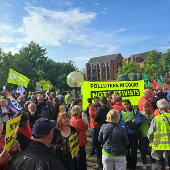 Actie Brugge klimaatactivisten