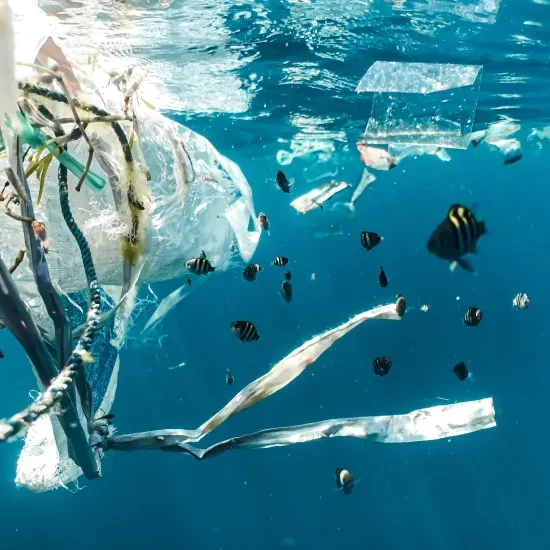 In Indonesië is plasticvervuiling overal, ook in rivieren en in de zee.