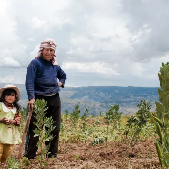 Bolivia landloze boeren