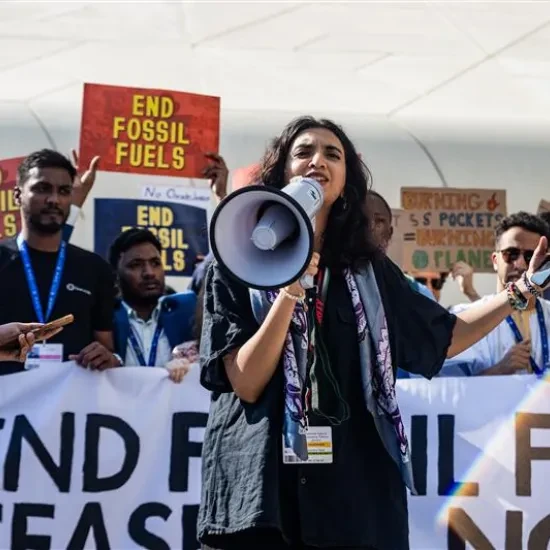 COP 29