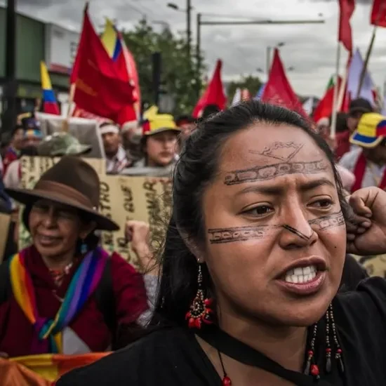 Andes Indigenas beweging CDES 2020