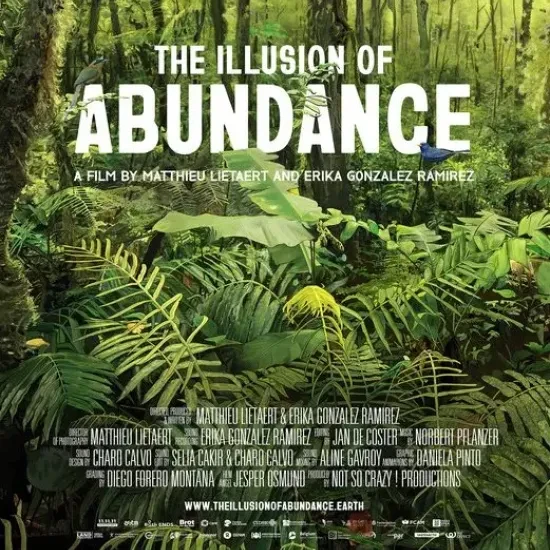 Post the illusion of abundance