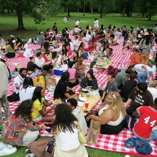 picknick reclaim