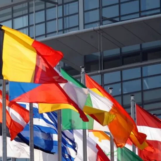 EU-parliament-flags